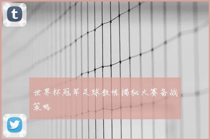 世界杯冠军足球教练揭秘大赛备战策略