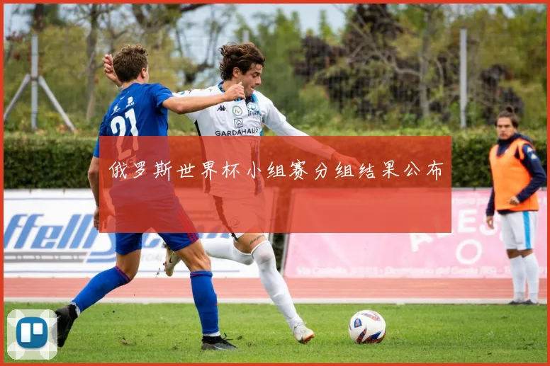 俄罗斯世界杯小组赛分组结果公布