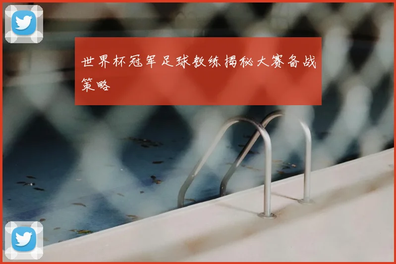 世界杯冠军足球教练揭秘大赛备战策略